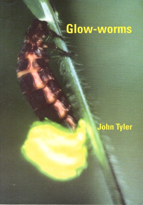 a research on the book the glow worm by charlotte smith Tennessee smartstart learn how to start a business in minutes and find resources that are crucial to early business success read more transition school to work. a research on the book the glow worm by charlotte smith Tennessee smartstart learn how to start a business in minutes and find resources that are crucial to early business success read more transition school to work.