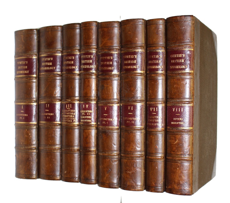 Click for more details or to order this title