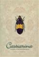 Castiarina: Australia's richest jewel beetle genus