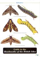 Guide to the Hawkmoths of the British Isles (Identification Chart)