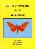 Moths of Thailand 2: Sphingidae