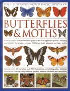 Illustrated World Encyclopedia of Butterflies and Moths: A Natural History and Identification Guide to Rare and Familiar Species