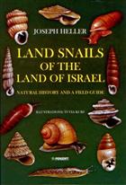 Land Snails of the Land of Israel