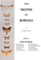 The Moths of Borneo 13: Noctuidae: Pantheinae, Bagisarinae, Acontiinae, Aediinae, Eustrotiinae, Bryophilinae, Araeopteroninae, Aventiinae, Eublemminae