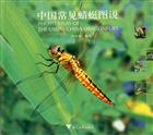 Photo Atlas of the usual China Dragonflies