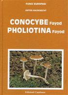 Conocybe - Pholiotina Fungi Europaei 11