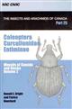 Weevils of Canada and Alaska. Vol. 2:  Coleoptera, Curculionidae, Entiminae (The Insects and Arachnids of Canada 25)