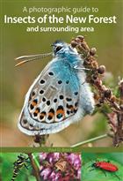 A photographic guide to Insects of the New Forest and surrounding area
