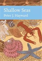 Shallow Seas (New Naturalist 131)