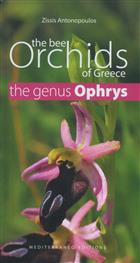 The Bee Orchids of Greece - The genus Ophrys