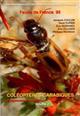 Coléoptères Carabidae de France: compléments et mise à jour. Vol. 2 Faune de France 95