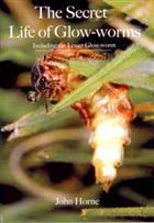 The Secret Life of Glow-worms: Including the Lesser Glow-worm