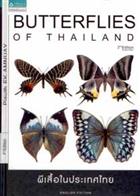 Butterflies of Thailand