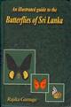 An illustrated guide to the Butterflies of Sri Lanka