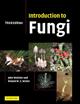 Introduction to Fungi