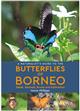 A Naturalist's Guide to the Butterflies of Borneo