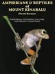 The Amphibians and Reptiles of Mount Kinabalu