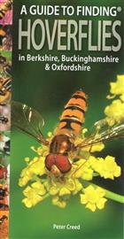 A Guide to finding Hoverflies in Berkshire, Buckinghamshire and Oxfordshire