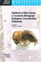Xyleborini of New Guinea, a Taxonomic Monograph (Coleoptera: Curculionidae: Scolytinae)
