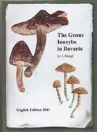 Genus Inocybe in Bavaria