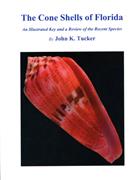 The Cone Shells of Florida: An Illustrated Key and a Review of the Recent Species
