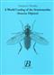 A World Catalog of the Stratiomyidae (Diptera)