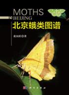 Moths in Beijing 北京蛾类图谱