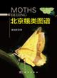 Moths in Beijing 北京蛾类图谱