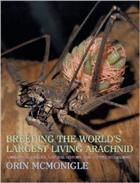 Breeding the Worlds Largest Living Arachnid: Amblypygid (Whipspider) Biology Natural History and Captive Husbandry