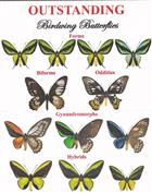 Outstanding Birdwing Butterflies