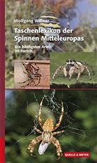 Taschenlexikon der Spinnen Mitteleuropas: Die häufigsten Arten im Porträt
