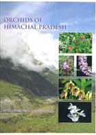 Orchids of Himachal Pradesh 