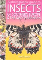 A photographic guide to Insects of southern Europe and the Mediterranean