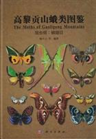The Moths of Gaoligong Mountains (Insecta: Lepidoptera) 高黎贡山峨类图鉴 昆虫纲 鳞翅目