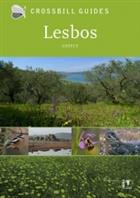 Crossbill Guide: Lesbos, Greece