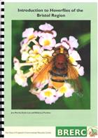 Introduction to Hoverflies of the Bristol Region