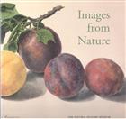 Images from Nature: Drawings and Paintings from the Library of The Natural History Museum