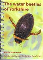 The water beetles of Yorkshire