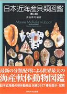 Marine Mollusks in Japan