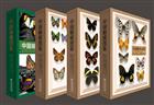 Butterflies of China. Vol. 1-4