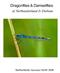 Dragonflies & Damselfies of Northumberland & Durham