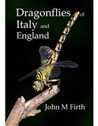 Dragonflies of Italy and England