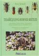 Tesarici/Long-Horned Beetles: Vesperidae & Cerambycidae of Europe 1