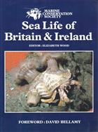 Sea Life of Britain and Ireland