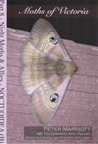 Moths of Victoria Pt 8: Noctuoidea (B) (Aganaidae, Erebidae (part), Noctuidae (part)) - Night Moths and Allies