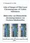 Atlas of Images of Thin Layer Chromatograms of Lichen Substances / Bilderatlas von Dünnschichtchromatographen Flechten-Inhaltsstoffen