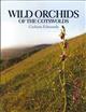 Wild Orchids of the Cotswolds