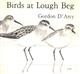 Birds at Lough Beg