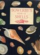 Sowerby's Book of Shells