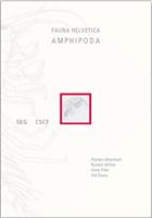 Amphipoda (Flohkrebse) der Schweiz Fauna Helvetica 32